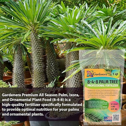 Premium 8-4-8 Professional Palm Tree Fertilizer Plant Food |Indoor Potted Plants and Outdoor Landscape Palm Trees | Quick-Release Nitrogen Fertilizer and Continuous Feeding (5 Quart)