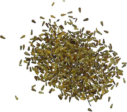 Seed Needs Valerian Seeds for Planting Stink Root Plants - Non-GMO Heirloom & Untreated Perennial Medicinal Herb Seed to Plant a Home Grown Outdoor Garden (5 Packs)
