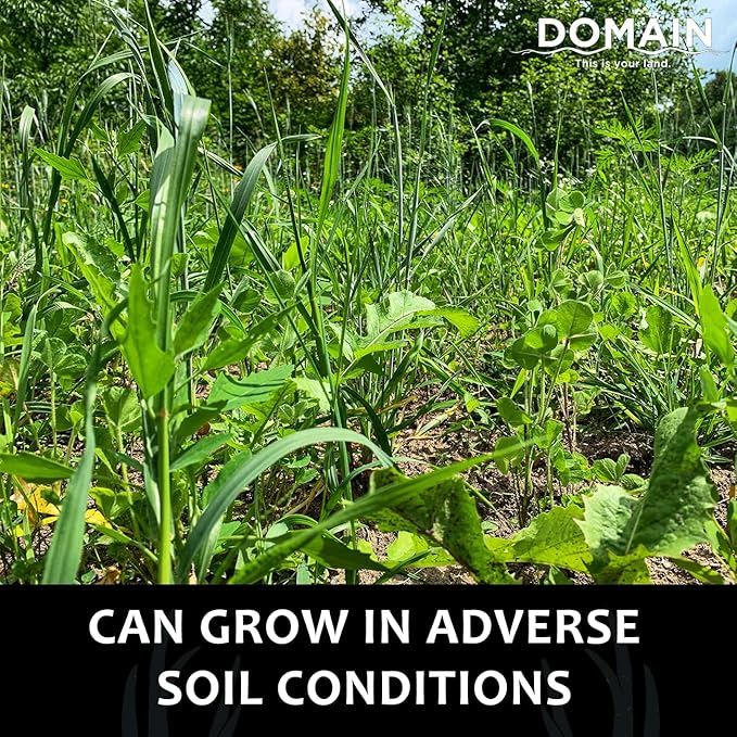 Domain Outdoor Overhaul Deer Food Plot Seed, Spring Triticale, Crimson Clover, Balansa Clover, Buckwheat, Tillage Radish, Great to Plant in Spring, Designed to Improve Soil and Attract Deer, 1/4 Acre