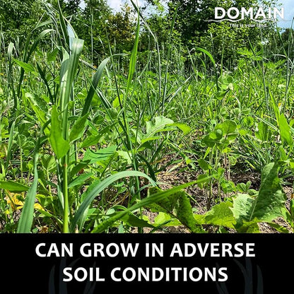 Domain Outdoor Overhaul Deer Food Plot Seed, Spring Triticale, Crimson Clover, Balansa Clover, Buckwheat, Tillage Radish, Great to Plant in Spring, Designed to Improve Soil and Attract Deer, 1/4 Acre