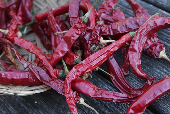 100 USDA Certified Organic Sichuan Chili Pepper Seeds, Er Jing Tiao, Product of the USA, Non GMO, 二荆条辣椒