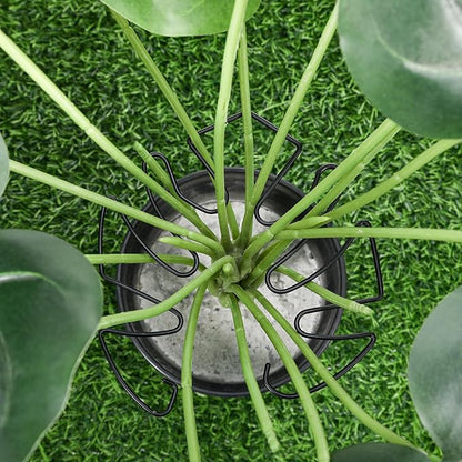4 PCS Monstera Plant Support, Plant Support Stakes for Indoor Plants Plant Stem Support Metal Monstera Plant Stabilizer Holder Plant Clips for Climbing Plants Support for Thriving Growth
