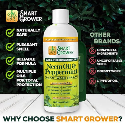 Neem Oil Spray for Plants with Peppermint Oil – for Indoor & Outdoor Plants, Gardens, & Houseplants– Best Value Refill 16 oz Concentrate Makes 2 Gallon RTU