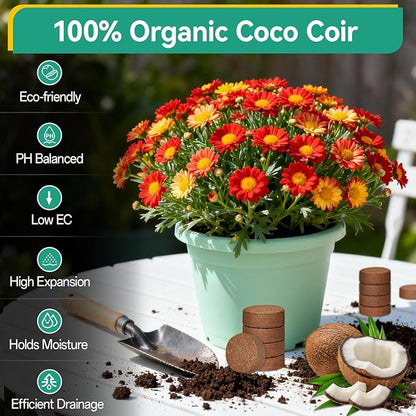 ZeeDix 200pcs(30mm) Coco Coir Pellets Potting Soil Indoor Plants, Compressed Coconut Coir Soil Pellets Seed Starting Pellets Discs for Planting Flowers Bonsai Herbs Plants and Vegetables