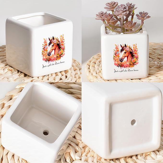 Horse Succulent Planter Flower Plant Pot Small, Gifts for Women Teens Girls Kids, Horse Lovers Themed Stuff Accessories Things Decor Merch, Home Office Table Desk Decoration!
