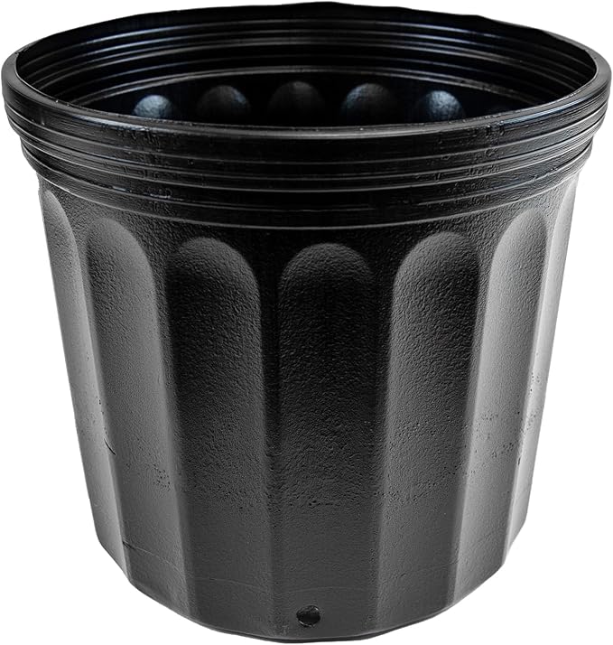 Viagrow VHPP200-24 VHPP Nursery Pots, 2 Gallon, Black