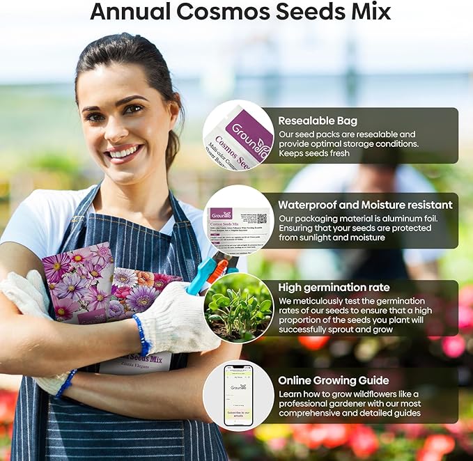 Cosmos Seeds Wildflower Mix, 2 Oz (2 Packs), Flowers Seeds for Planting, Open Pollinated, Non GMO Made in USA
