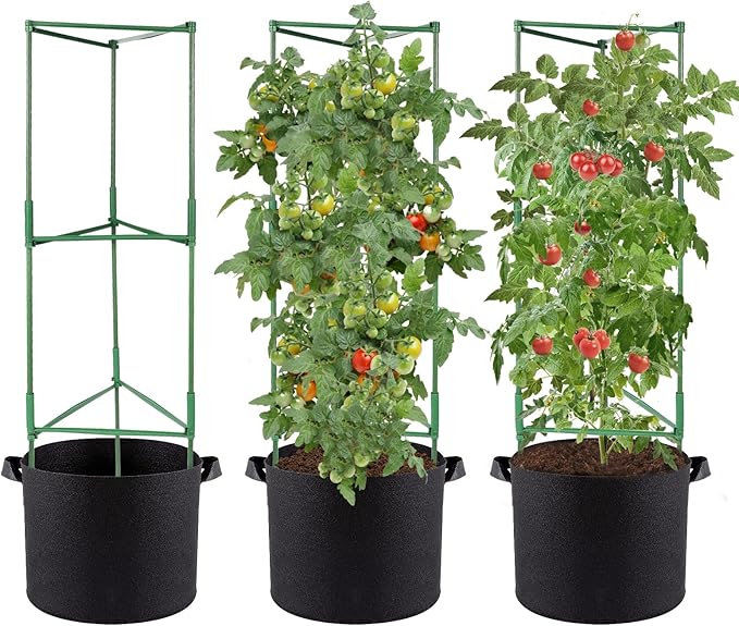 ANPHSIN 3 Sets Tomato Cages with 10 Gallon Grow Bags - 48" Stable Plant Garden Planter, Flowers Vegetable Trellis Pots for Tomato Vertical Climbing Plants Vines