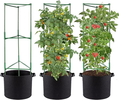 ANPHSIN 3 Sets Tomato Cages with 10 Gallon Grow Bags - 48" Stable Plant Garden Planter, Flowers Vegetable Trellis Pots for Tomato Vertical Climbing Plants Vines