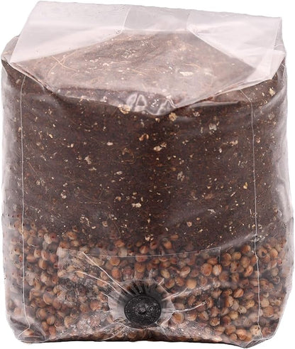 Mini Red Milo All-in-One Mushroom Grow Bag