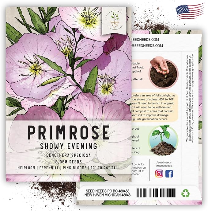 Seed Needs Showy Evening Primrose Seeds for Planting - Heirloom & Open Pollinated Perennial Flower Seed to Plant a Butterfly Garden (5 Packs)