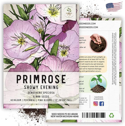 Seed Needs Showy Evening Primrose Seeds for Planting - Heirloom & Open Pollinated Perennial Flower Seed to Plant a Butterfly Garden (5 Packs)