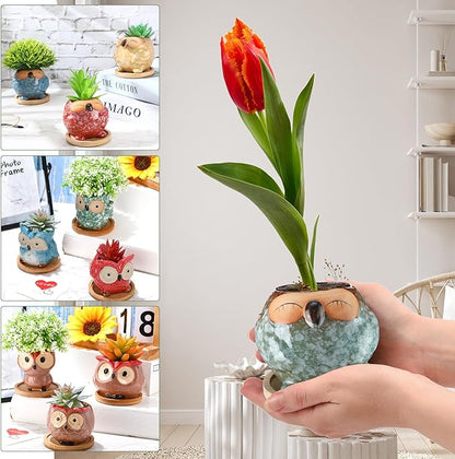 Cindeer 18 Pcs 2.5 Inch Owl Ceramic Succulent Planter Pots Mini Small Ceramic Pots with Drainage Hole and Bamboo Tray for Succulents Glaze Cactus for Home Garden Office Desk Decoration Gift Ideas