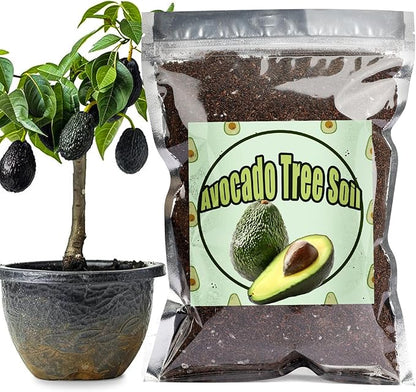 Organic Avocado Tree Potting Soil Mix 1qt, Enhance Growth and Transplant Success for Avocado Plants