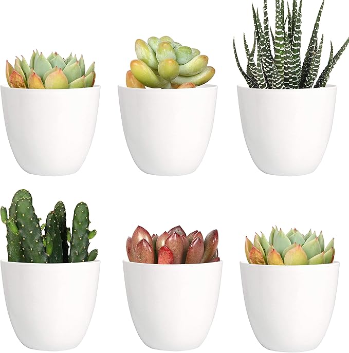 Youngever 10 Pack 3 Inch Mini Plastic Planters Indoor Flower Plant Pots, White Gardening Pot with Drainage for All House Plants, Flowers, Herbs, Succulents, NO Plant Included (Modern)