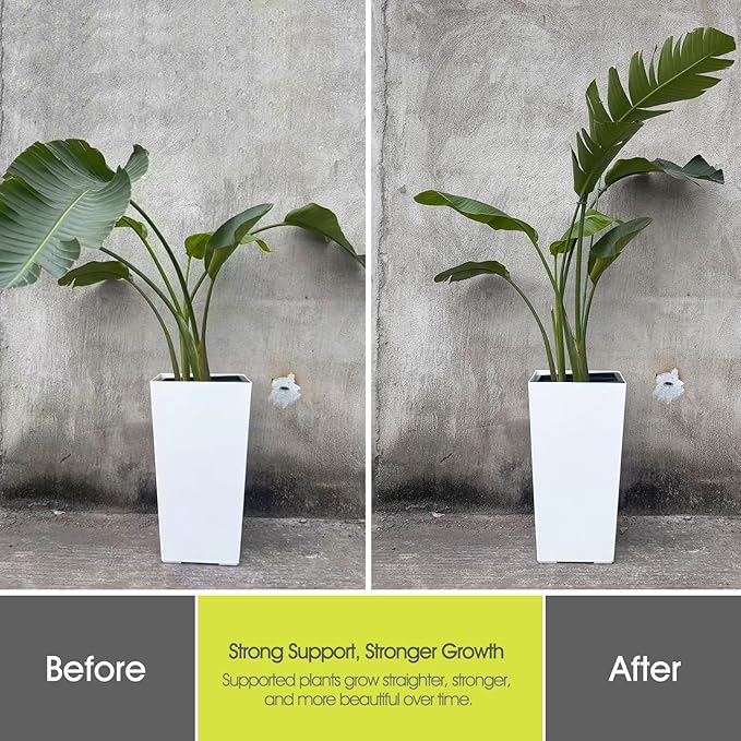 Plant Stakes for Indoor Plants, RIFNY 12 Inch Plant Support Stakes with Clips, Tall Adjustable Plant Sticks for Indoor Monstera Tomato Orchid Potted Plants Flower (6 PCS, Green)