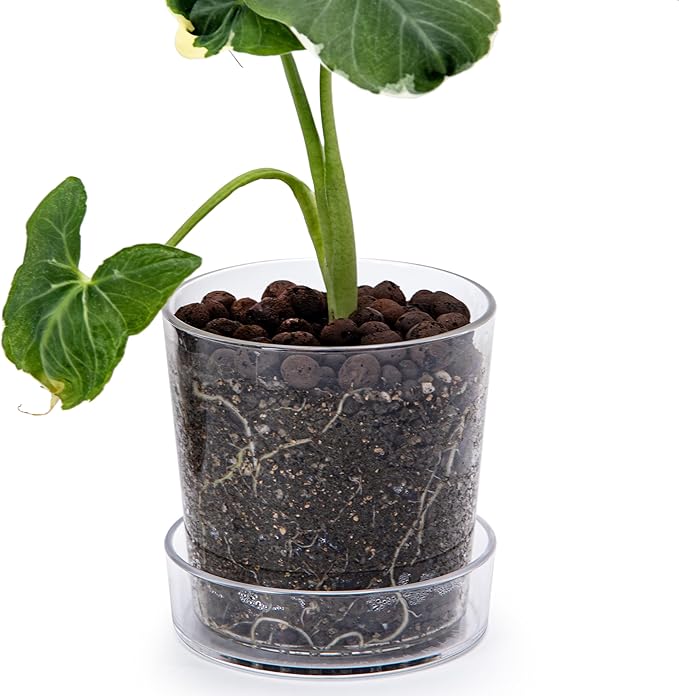 Phoenix Vine 4.5 Inch Clear Acrylic Planter Pot with Tray, Orchid Pot with Drainage Holes, Deep Saucer for Bottom Watering, Transparent Containers for Indoor Plants, Herbs, Set of 1, 91-A-E-1