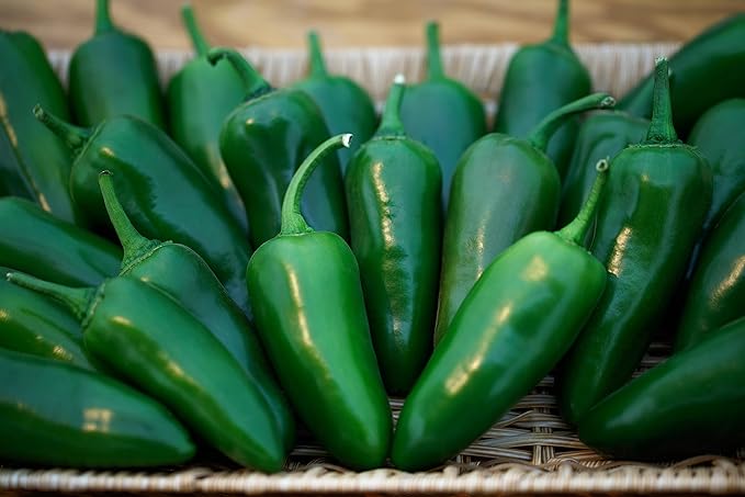 Plant Good Seed Megatron F1 Jalapeño Pepper Seeds - Pack of 25, Heirloom Seeds for Planting Vegetables - Gardening Supplies, Fruit, Chili, Vegetable Garden - Non-GMO, Open Pollinated, from USA
