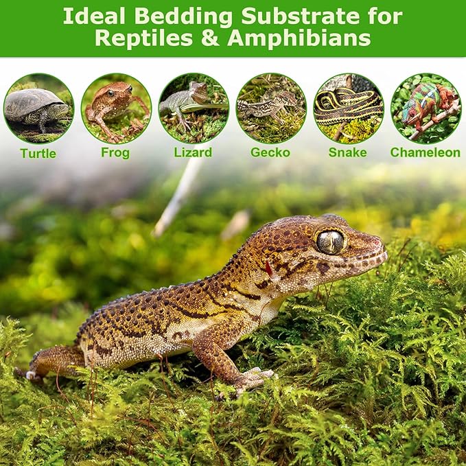 Legigo 3.7OZ Sphagnum Moss for Plants, 4QT Natural Orchid Moss Potting Mix Dired, Green Forest Plant Moss for Orchid Repotting Carnivorous Succulents Indoor Potted Plants Gardening and Reptiles