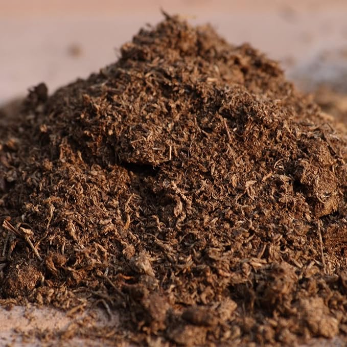 Organic Sphagnum Peat Moss, Added to Soil and Enriches Plant Roots, Gardening Soil Amendment and Carnivorous Plant Soil Media(4qt)