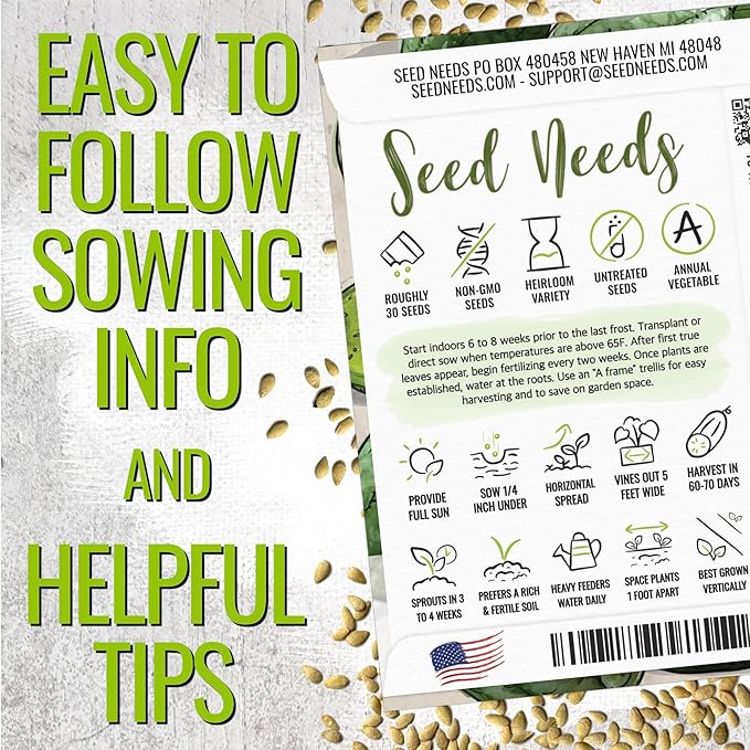 Seed Needs Cucamelon Seeds for Planting Mexican Sour Gherkin Miniature Mouse Melons - Non-GMO Heirloom & Untreated - Grow a Home Grown Indoor Outdoor Vegetable Garden (5 Packs)