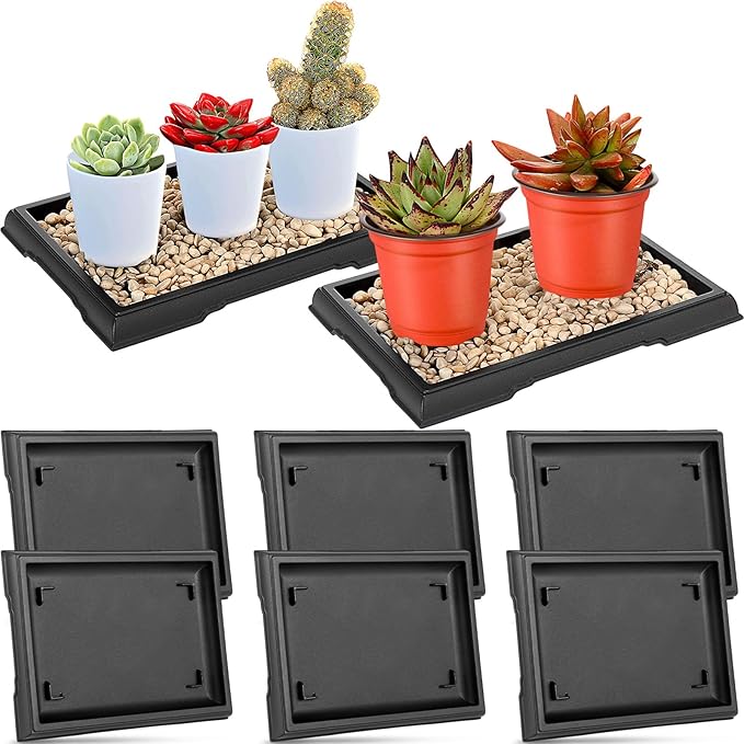 Pinkunn 2 Pcs Bonsai Humidity Tray Rectangular Drip Tray Plastic Plant Water Catcher Plant Saucers for Indoors and Outdoors Cactus,Succulents,Bonsai Tree,Stone Not Included (7.8 x 5.5 Inch)