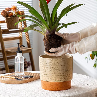 Self Watering Ceramic Planter: 8 Inch Plant Pot with Drainage Hole & Water Storage Plus for Outdoor & Indoor Plants, Succulents, Herbs - Flower Pot for Home or Office Decor - Brush