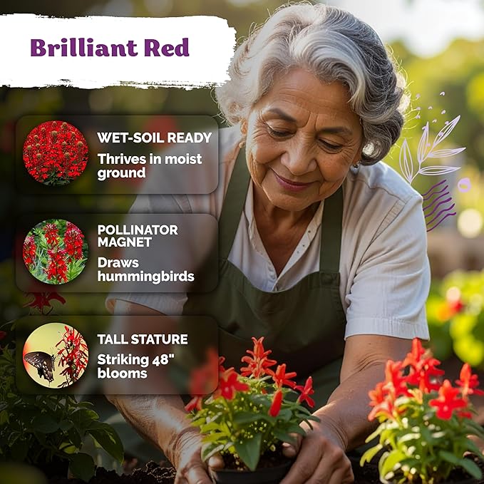 KVITER 2000 Red Cardinal Flower Seeds (Lobelia cardinalis) – Lobelia Garden Seeds for Planting, Cardinal Perennial Flower Seed Packets – Native Wildflower Plant for Outdoor Garden, Containers