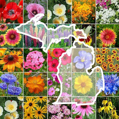 Eden Brothers Michigan Wildflower Mixed Seeds for Planting, 5 lb, 2,400,000+ Seeds with Cornflower, Sweet William, Cosmos | Attracts Pollinators, Plant in Spring or Fall, Zones 3, 4, 5, 6, 7, 8, 9, 10