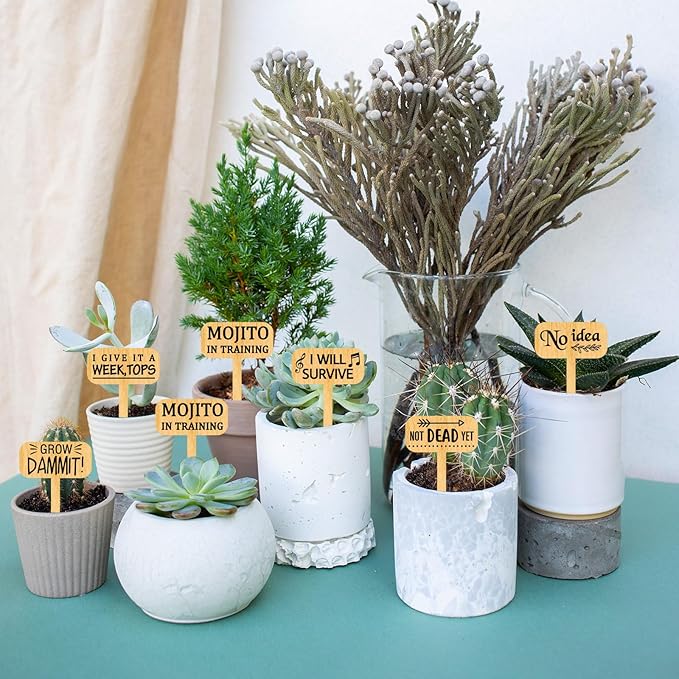 arricraft 15 Pcs Funny Plant Markers, Wooden Garden Stakes T-Type Garden Labels Funny Talking Plant Funny Garden Signs Plant Markers for Indoor and Outdoor Potted Seed Herbs Unique Funny Gifts