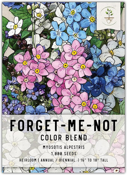 Seed Needs, Mixed Forget Me Not Seeds - 1,000 Heirloom Seeds for Planting Myosotis alpestris - Pink Blue & White Blooms, Open Pollinated & Pollinator Friendly (1 Pack)