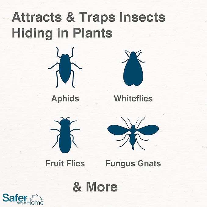 Safer Brand Home SH5026-3SR Houseplant Sticky Stake Insect Traps for Indoor Plants - 48 Traps Included - Controls Aphids, Whiteflies, Fruit Flies, Fungus Gnats, and Other Insects