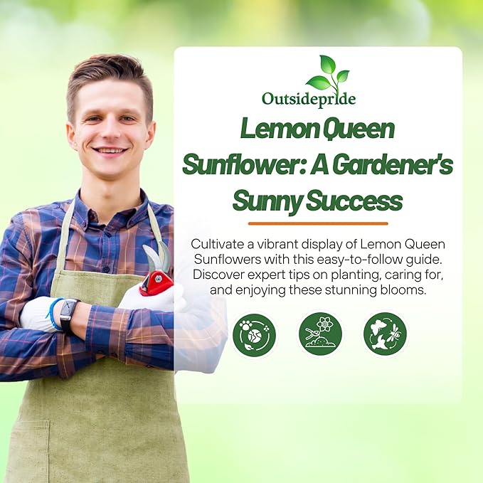 Outsidepride Lemon Queen Sunflower Seeds for Planting - 1 Lb. Annual, Easy to Grow Flower Seeds w/Vibrant, Abundant Blooms for Cut Flower Arrangements & Pollinator & Vegetable Gardens