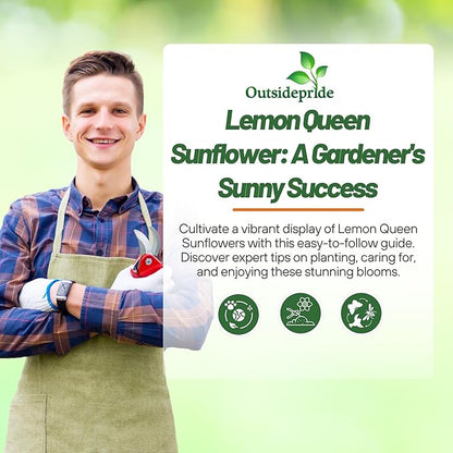 Outsidepride Lemon Queen Sunflower Seeds for Planting - 1 Lb. Annual, Easy to Grow Flower Seeds w/Vibrant, Abundant Blooms for Cut Flower Arrangements & Pollinator & Vegetable Gardens