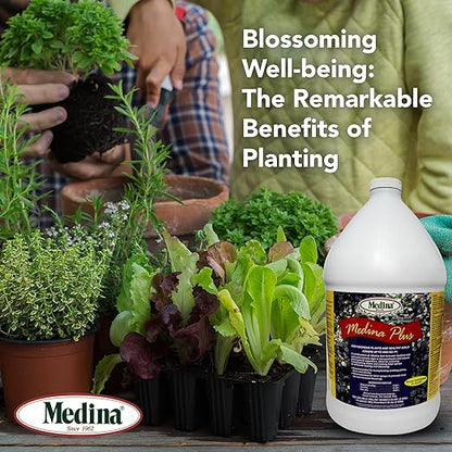 Medina Plus Soil Activator - Liquid Soil Loosener for Lawns & Gardens - Micronutrient-Rich Soil Conditioner & Softener - Used with House Plant Fertilizer, Liquid Plant Food for Houseplants - 1 Gal