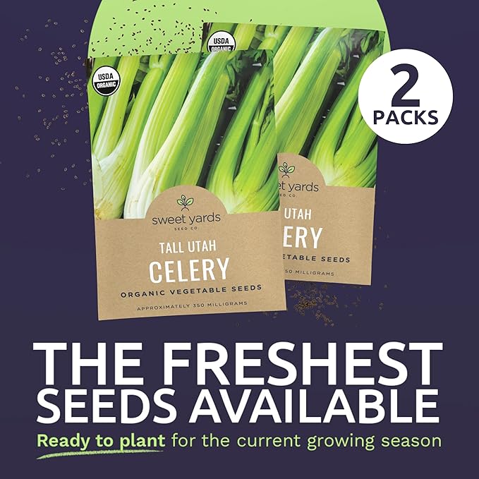 Organic Celery Seeds ‘Tall Utah’ – Two Seed Packets! – Over 1,926 Open Pollinated Heirloom Non-GMO Seeds – Sweet Yards Seed Co.
