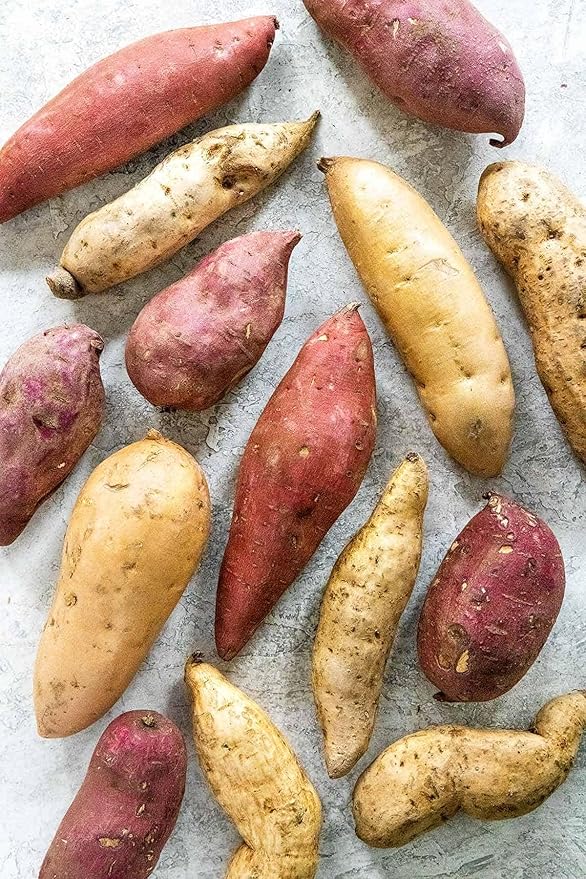 Generic 50pcs Sweet Potato Vegetable Seeds Mixed