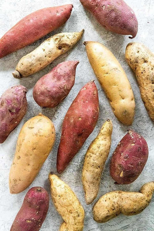 Generic 50pcs Sweet Potato Vegetable Seeds Mixed
