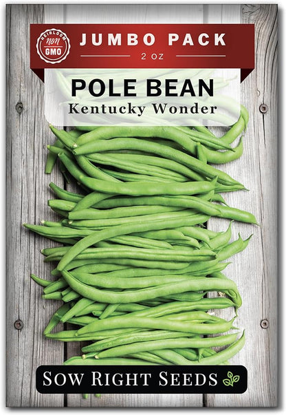 Sow Right Seeds - Bulk Kentucky Wonder Pole Bean Seeds for Planting - 2 Ounce, 170 Seeds - Non-GMO Heirloom Jumbo Pack with Instructions to Plant a Home Vegetable Garden - Bountiful Harvest of Beans