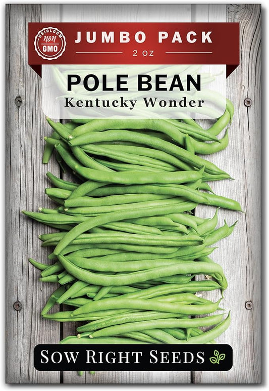 Sow Right Seeds - Bulk Kentucky Wonder Pole Bean Seeds for Planting - 2 Ounce, 170 Seeds - Non-GMO Heirloom Jumbo Pack with Instructions to Plant a Home Vegetable Garden - Bountiful Harvest of Beans