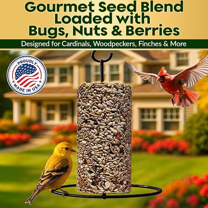 Bugs, Nuts & Berries Bird Seed Cylinders with Hole – Wild Bird Food for Blue Bird, Woodpeckers, Cardinals & More – Premium Protein-Rich All Natural Blend, No Fillers – USA Made (3.75 lbs, 6" x 7.75")