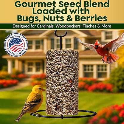 Bugs, Nuts & Berries Bird Seed Cylinders with Hole – Wild Bird Food for Blue Bird, Woodpeckers, Cardinals & More – Premium Protein-Rich All Natural Blend, No Fillers – USA Made (3.75 lbs, 6" x 7.75")