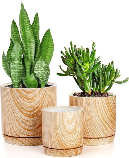 Dicunoy Set of 3 Ceramic Planters - 6"/5"/4" Cylinder Flower Pots with Drainage Holes and Saucers for Indoor, Outdoor, Garden, Cactus, Herbs, Snake Plants, Aloe Vera, All House Plants