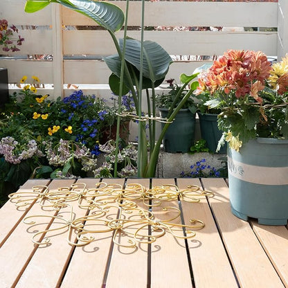 5PCS Monstera Plant Stem Support Hook - 6.5 * 6.5IN Durable Metal Stem Stabilizer for Monstera Plants and Fishbone Cactus - Gentle Protection Leaf Holder - Easy Installation - 5 Piece Set