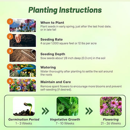 Outsidepride Purple Echinacea Coneflower Seeds - 5 lbs Perennial, Deer-Proof & Drought Tolerant Flower Seeds with Daisy-Like Blooms for Pollinator-Friendly Gardens, Borders, & Meadows