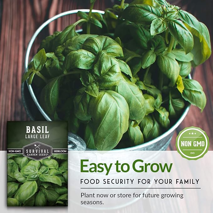 Easy to Grow Herb Seeds Variety Pack | 5 Heirloom Kitchen Herbs for Planting – Basil, Cilantro, Dill, Parsley, Lemon Balm – Indoor & Outdoor Growing for Kids & Beginners – Survival Garden Seeds