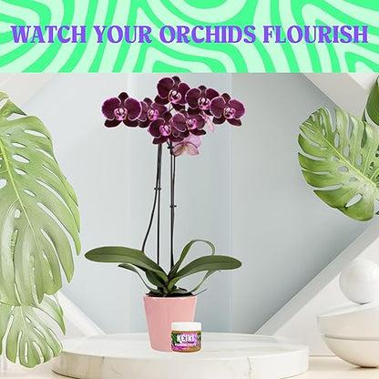 Keiki Paste for Orchids, Monsteras, and Houseplants – Easy to Use – Supports New Growth – 100+ Applications – 0.5oz