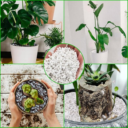 Legigo 4 Quarts Organic Horticultural Perlite for Plants Indoor- Natural Horticultural Soil Additive Conditioner Mix for Improves Drainage, Ventilation and Root Growth