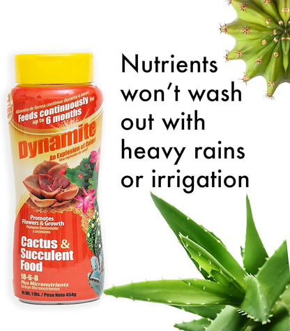 Dynamite Cactus & Succulent Food 18-6-8 - Plant Food for Indoor/Outdoor Cacti & Succulents - Continuous Feeding Up to 6 Months - Promotes Growth & Flowering - Includes Micronutrients