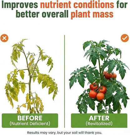 GS Plant Foods Liquid Kelp Fertilizer – Suitable for Organic Growing, OMRI Listed Seaweed Concentrate for Lawns, Gardens & Soil - 1 Gallon (Makes Up To 800+ Gallons)